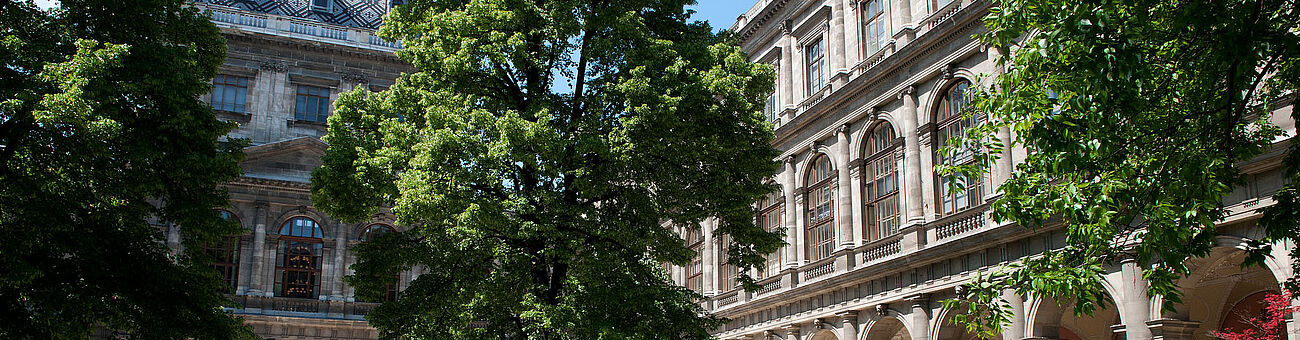 Eine Nahaufnahme des Arkadenhofs im Hauptgebäude der Universität Wien. Zu sehen sind einige Fenster so wie ein Baum mit grünen Blättern.